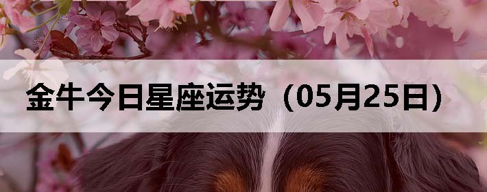 ţƣ0525գ