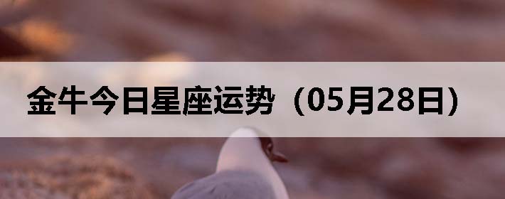 ţƣ0528գ