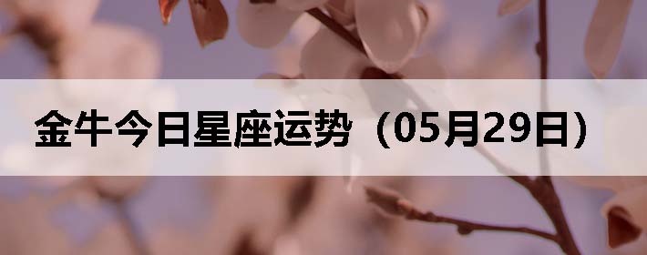 ţƣ0529գ