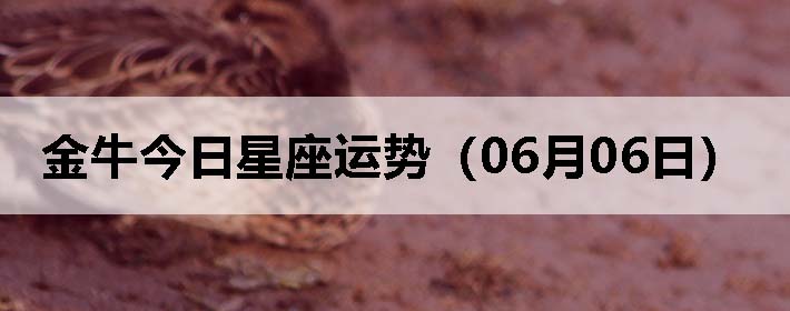 ţƣ0606գ