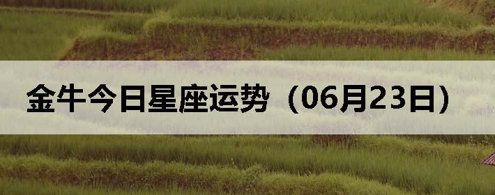 ţƣ0623գ
