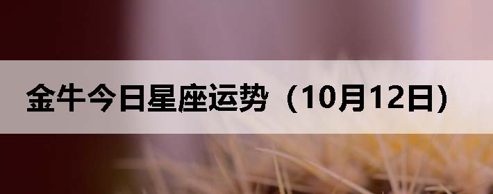金牛今日星座运势(10月12日)