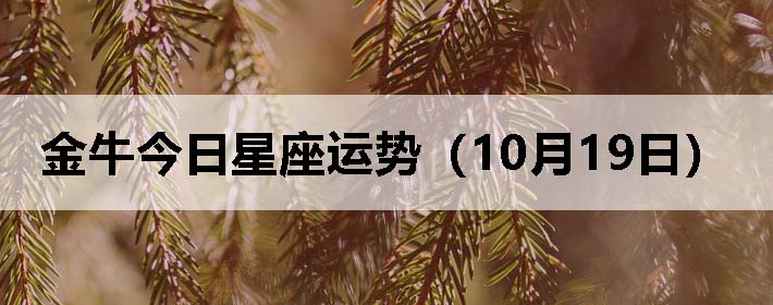 金牛今日星座运势(10月19日)