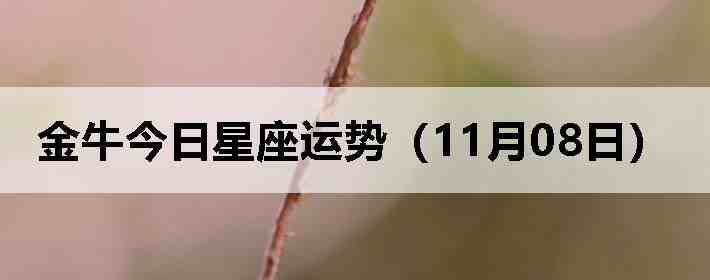 ��ţ�����������ƣ�11��08�գ�