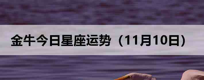 ��ţ�����������ƣ�11��10�գ�