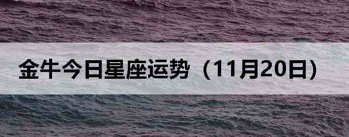 ��ţ�����������ƣ�11��20�գ�