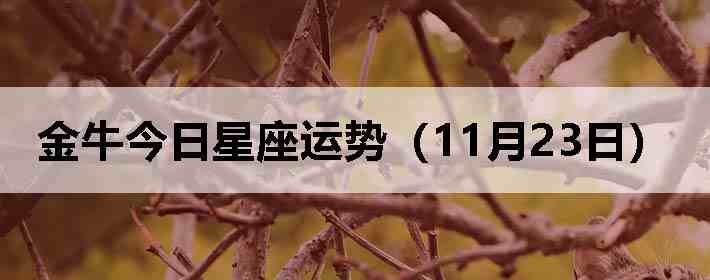 ��ţ�����������ƣ�11��23�գ�