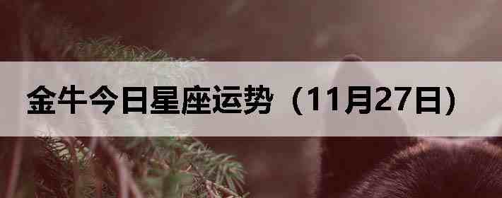 ��ţ�����������ƣ�11��27�գ�