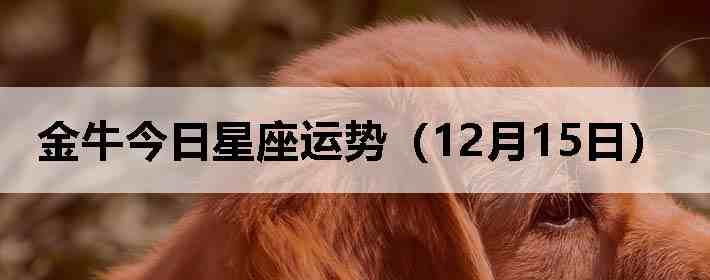 ��ţ�����������ƣ�12��15�գ�