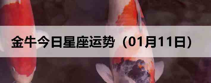 ��ţ�����������ƣ�01��11�գ�