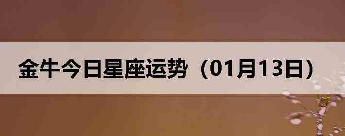 ��ţ�����������ƣ�01��13�գ�