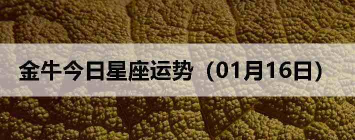��ţ�����������ƣ�01��16�գ�