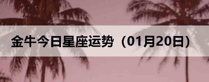 ��ţ�����������ƣ�01��20�գ�