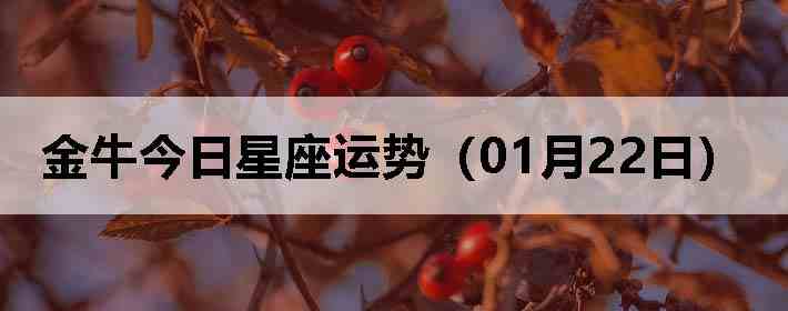 ��ţ�����������ƣ�01��22�գ�