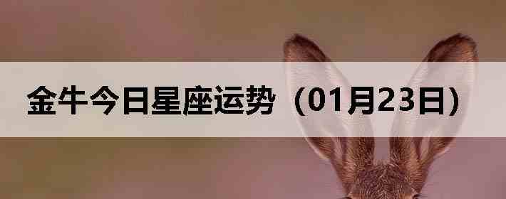 ��ţ�����������ƣ�01��23�գ�