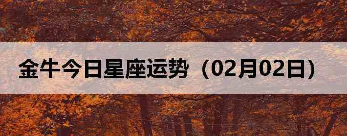 ��ţ�����������ƣ�02��02�գ�