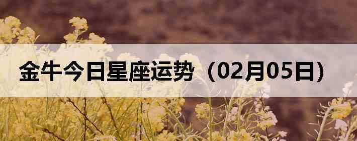 ��ţ�����������ƣ�02��05�գ�