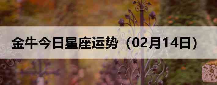 ��ţ�����������ƣ�02��14�գ�