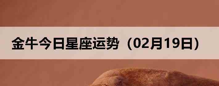 ��ţ�����������ƣ�02��19�գ�