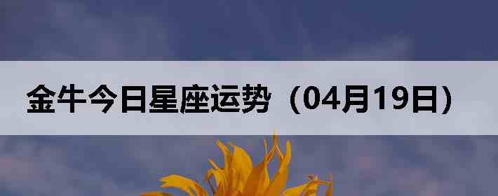 ��ţ�����������ƣ�04��19�գ�