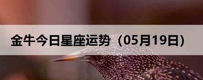 ��ţ�����������ƣ�05��19�գ�