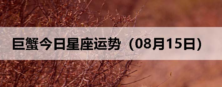 зƣ0815գ
