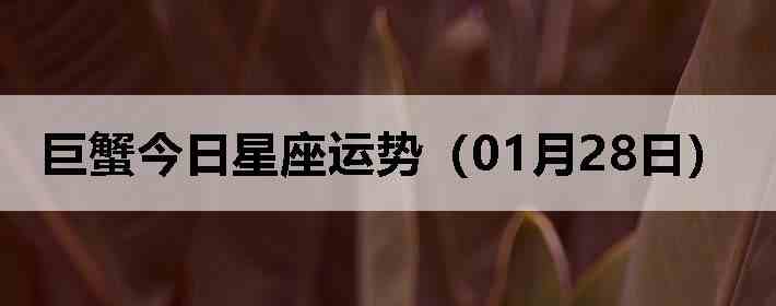 ��з�����������ƣ�01��28�գ�