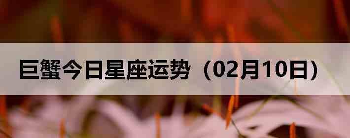 ��з�����������ƣ�02��10�գ�