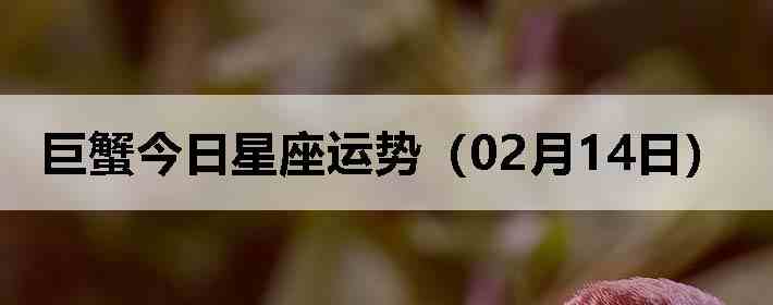 ��з�����������ƣ�02��14�գ�