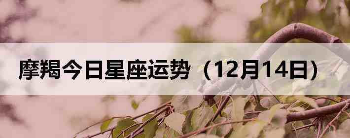 Ħ�ɽ����������ƣ�12��14�գ�