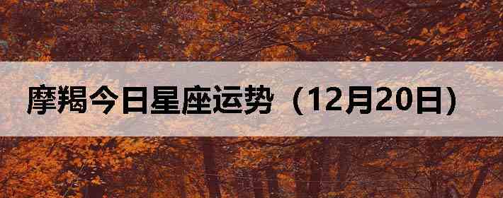 Ħ�ɽ����������ƣ�12��20�գ�