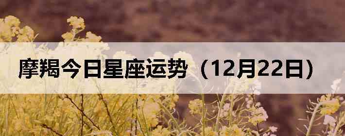 Ħ�ɽ����������ƣ�12��22�գ�