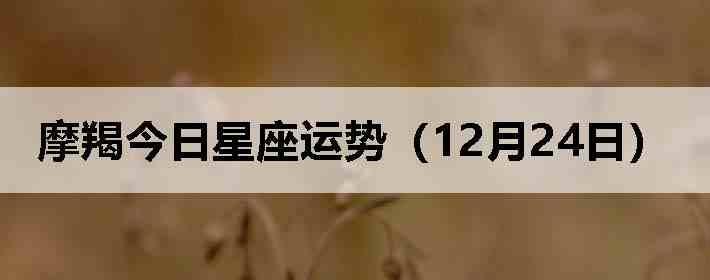 Ħ�ɽ����������ƣ�12��24�գ�