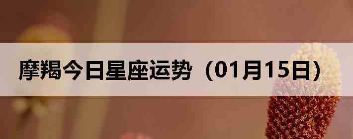 Ħ�ɽ����������ƣ�01��15�գ�