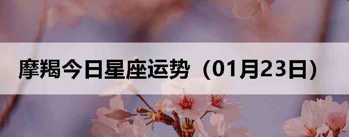 Ħ�ɽ����������ƣ�01��23�գ�