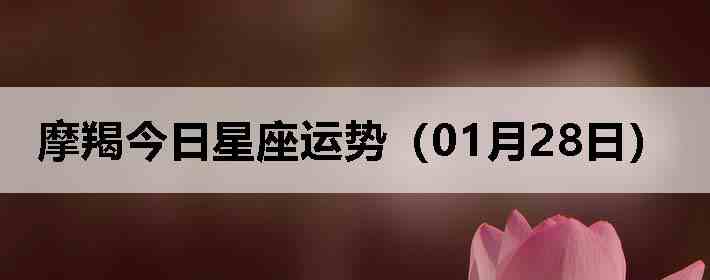 Ħ�ɽ����������ƣ�01��28�գ�