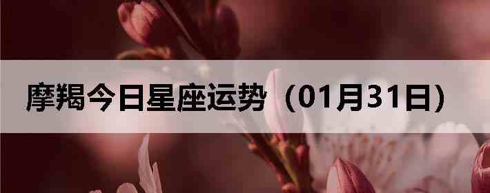 Ħ�ɽ����������ƣ�01��31�գ�