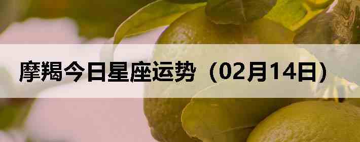 Ħ�ɽ����������ƣ�02��14�գ�