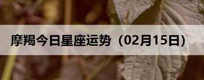 Ħ�ɽ����������ƣ�02��15�գ�