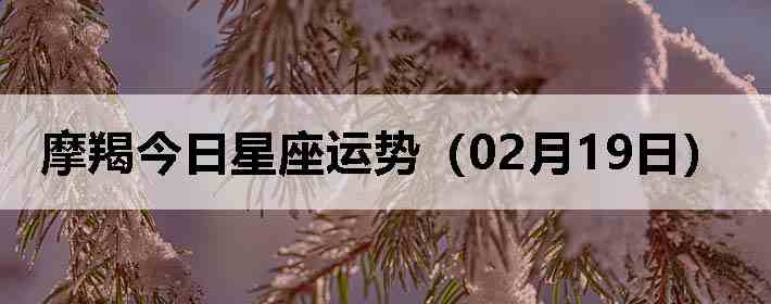 Ħ�ɽ����������ƣ�02��19�գ�