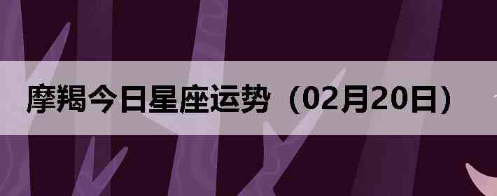 Ħ�ɽ����������ƣ�02��20�գ�