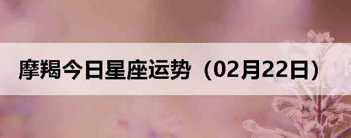 Ħ�ɽ����������ƣ�02��22�գ�