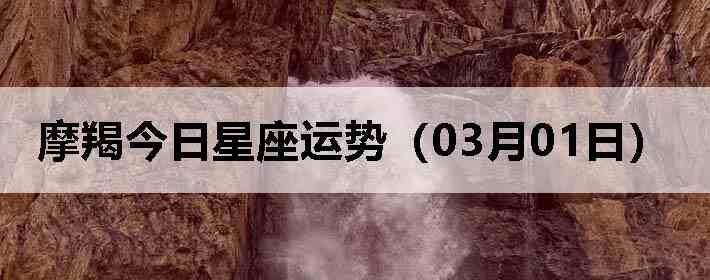 Ħ�ɽ����������ƣ�03��01�գ�