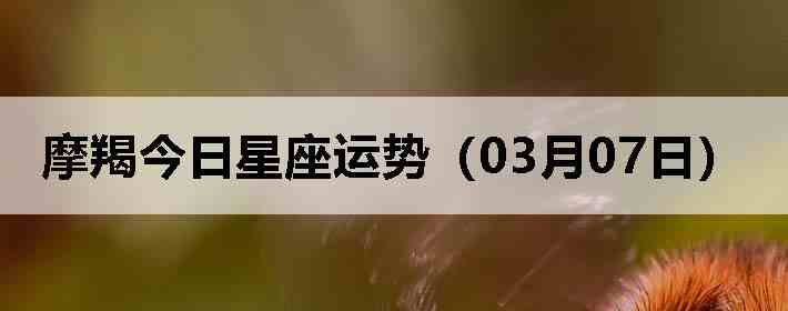 Ħ�ɽ����������ƣ�03��07�գ�