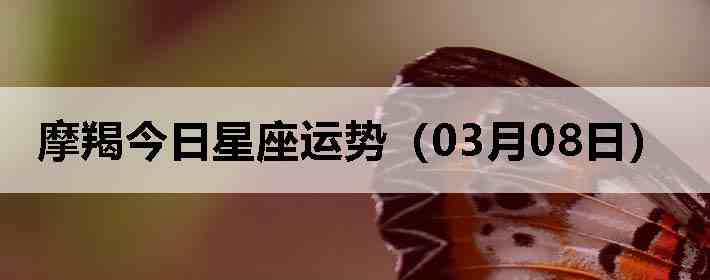 Ħ�ɽ����������ƣ�03��08�գ�