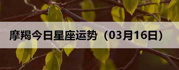 Ħ�ɽ����������ƣ�03��16�գ�