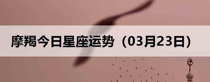 Ħ�ɽ����������ƣ�03��23�գ�