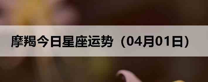 Ħ�ɽ����������ƣ�04��01�գ�