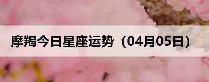 Ħ�ɽ����������ƣ�04��05�գ�