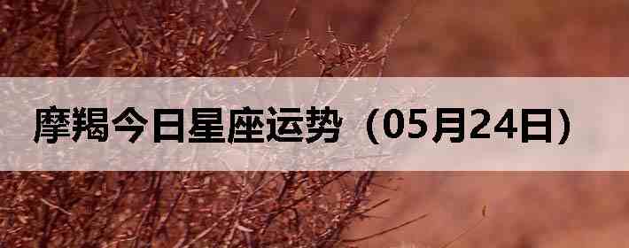 Ħ�ɽ����������ƣ�05��24�գ�